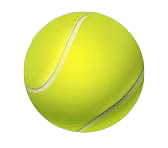 Tenis
