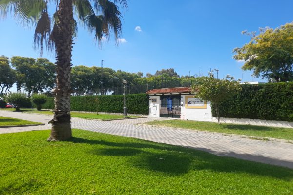 club-mireste-img-08